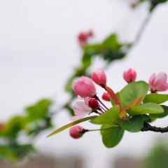 MY.girl蜜菓(霍山县蜜果饮品店) 여행 사진