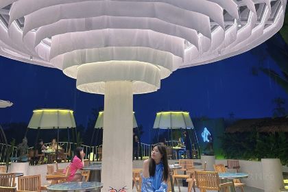 望天树雨林餐厅