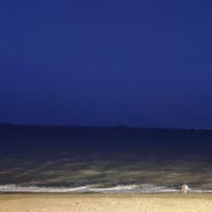 椰厦·海上餐厅(椰风寨店) 여행 사진