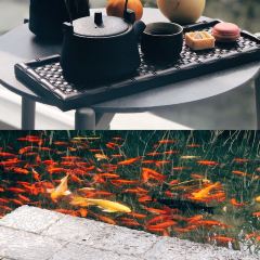 汉中天汉景逸酒店景·咖啡全日西餐厅 User Photo