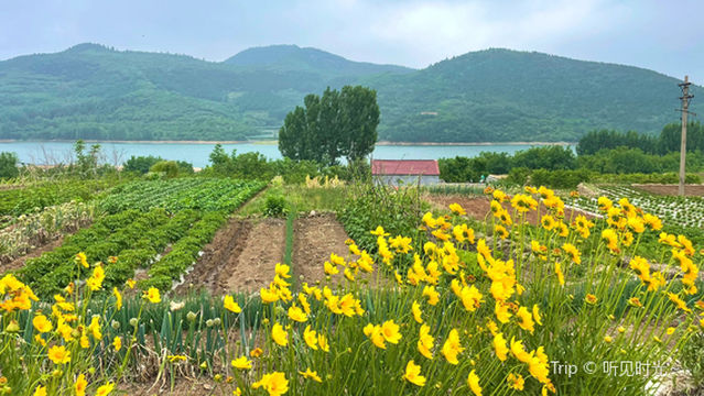 Xiaohuangzhuang Village