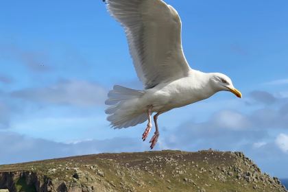 The Honey Pot PZ Ltd