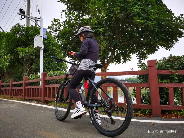 Cycling in Chenzhou