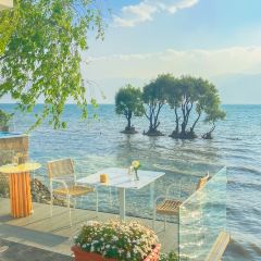 阿凯缇娅·安止樱落海景度假酒店·一间海景餐厅 User Photo