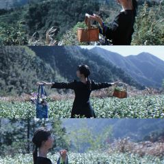 云上平田·爷爷家咖啡 User Photo