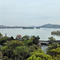 君來湖濱飯店悅吧張用戶圖片