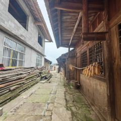君健農家張用戶圖片
