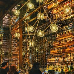 Bar Trigona User Photo