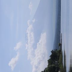 Paper Moon User Photo