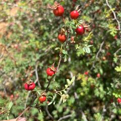画山藏餐 User Photo