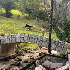 WTF Coffee Camp User Photo