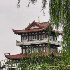糊司令小笼店 User Photo