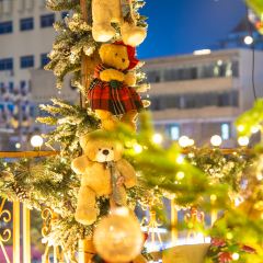 Cross Pub User Photo