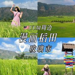 Warung Tepi Sawah 2769 User Photo