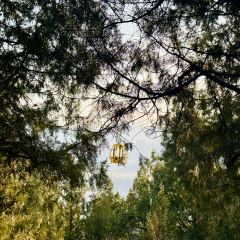 学伟烧烤火锅 User Photo