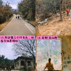 清雅茶苑(山湾里店) User Photo