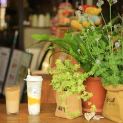 24H color咖啡廳張用戶圖片