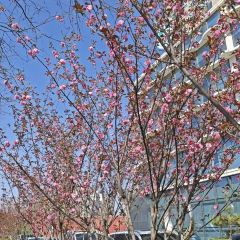 胖子鱼·鲜鱼火锅(秦州店) User Photo
