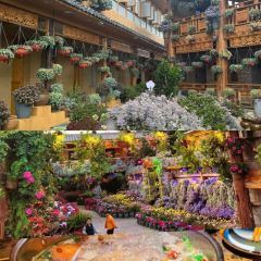 Yuxiangyuan User Photo