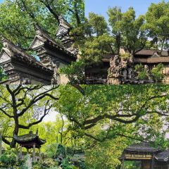 SEAFOOD SPECIAL KITCHEN User Photo