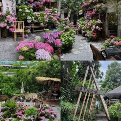 Solaria Yakiniku Wine House User Photo