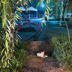 DONG PO SHAN ZHUANG TIAN YUAN SHENG TAI HUO GUO User Photo