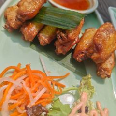 Mango Tree User Photo