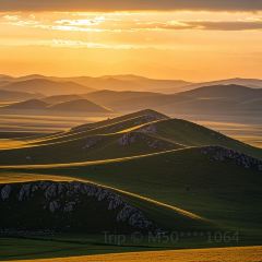 MENG XIANG YUAN User Photo