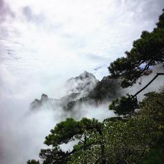 LAO MA CAI User Photo