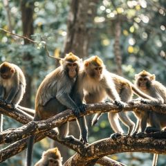 Dongmendoufunao User Photo