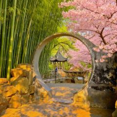 天香蟹园·正宗自产自销(阳澄湖莲花岛店) User Photo