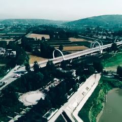 Cai Feng Lou Chinese Restaurant User Photo