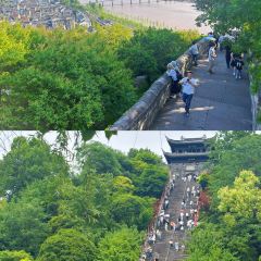 王阿姨梅花糕 User Photo