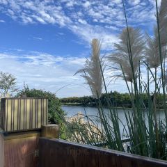 云孚里云宿.西湖云岛·餐厅 User Photo