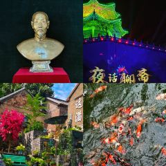 WEIDAOJIA MAMACAI User Photo