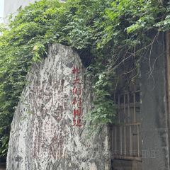 ZHENG XI WANG User Photo