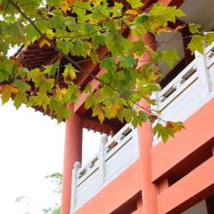 范家庄园山城老火锅(广元总店) User Photo