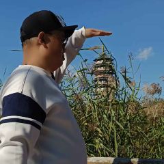 雄安索菲特酒店·锦厨全日餐厅 여행 사진