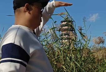 雄安索菲特酒店·锦厨全日餐厅 User Photo