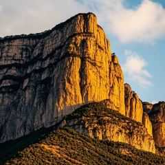 味晨小吃·特色姜汤面 User Photo