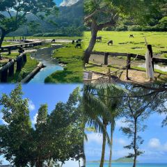 PAN XIAN SHENG HAI XIAN CHENG User Photo