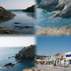 喜鼎海胆水饺(星海湾壹号店) User Photo