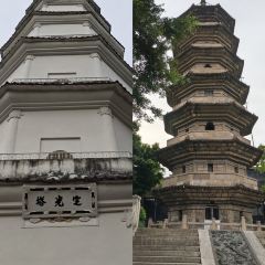 聚春園(南后街店)張用戶圖片