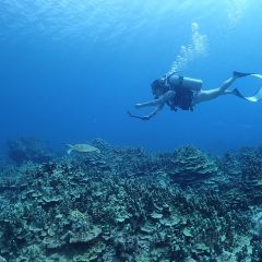 Oleai Beach Bar & Grill User Photo