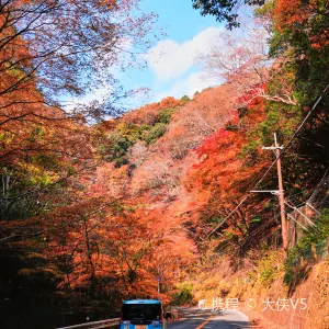 摂津峡公園