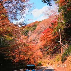 摂津峡公園