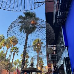 Cafe Jardin Majorelle Marrakech User Photo
