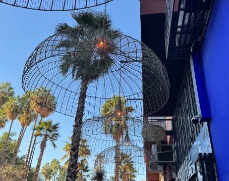 Cafe Jardin Majorelle Marrakech