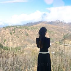 九女峰書房張用戶圖片