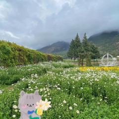 听花谷餐厅 User Photo